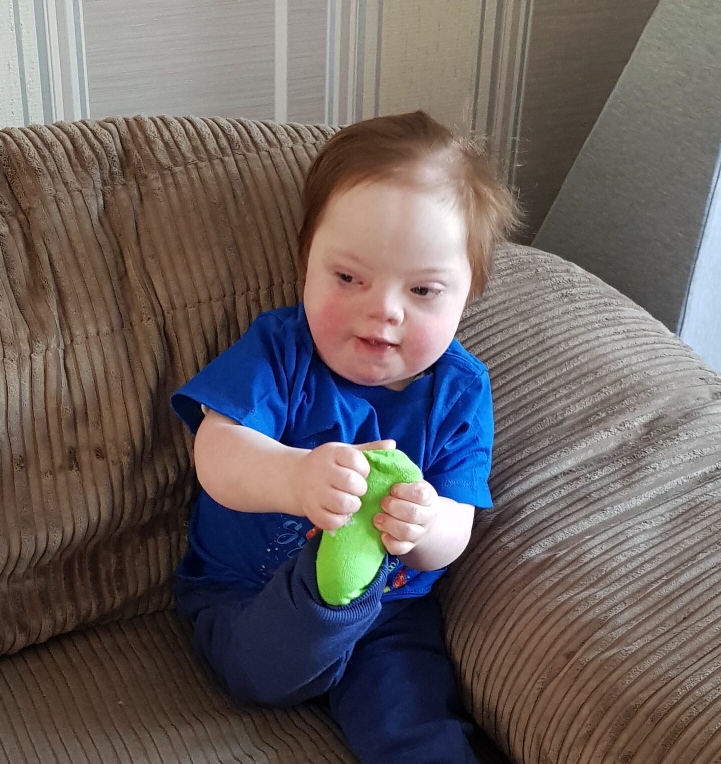 David – WDSD