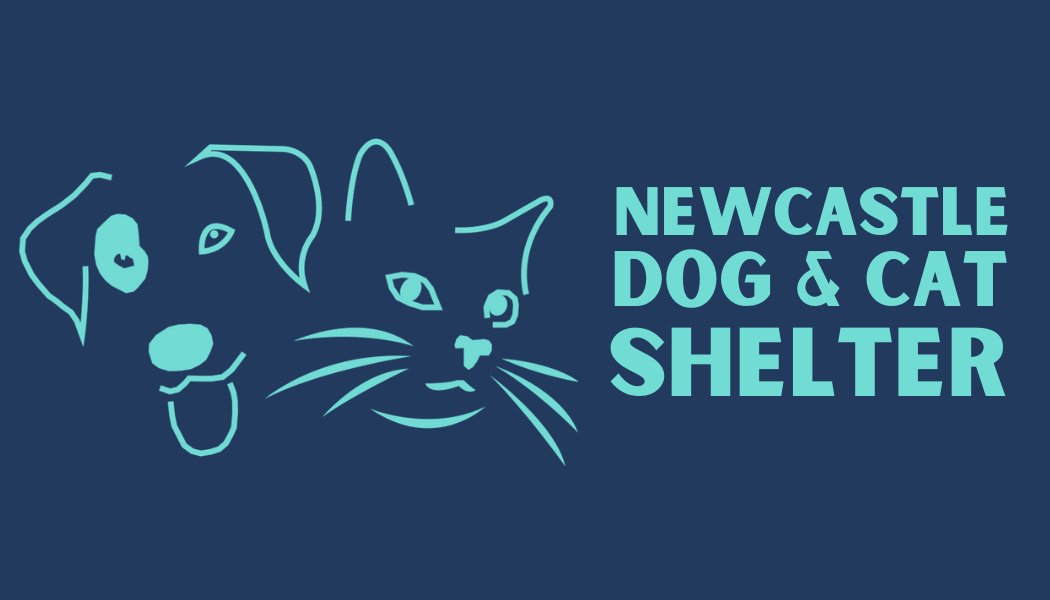 Newcastle Cat and Dog Shelter