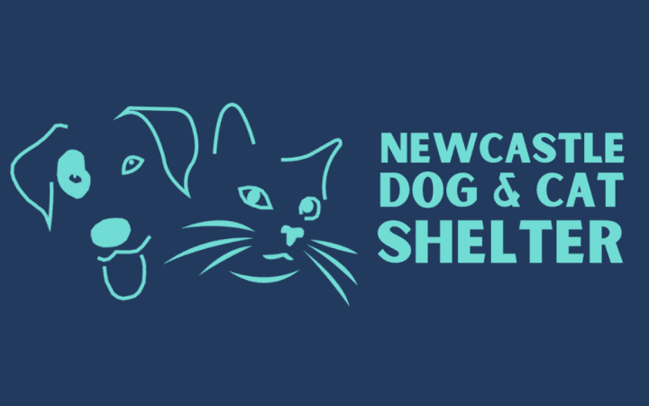 Supporting Newcastle Dog and Cat Shelter