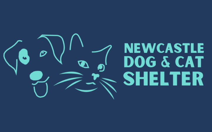 Rainton Construction Paves the Way for a Welcoming Environment at Newcastle Cat & Dog Shelter