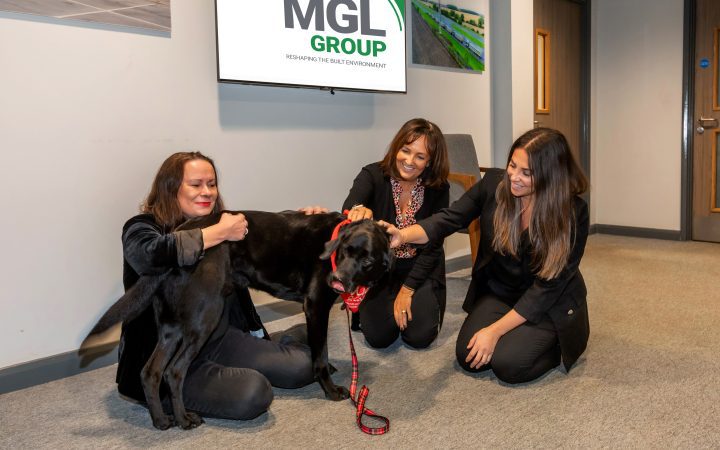 Supporting the Elderly: the Wag & Co Way
